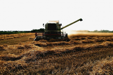 С 14 июля экспортная пошлина на пшеницу снизилась до 39,3 доллара